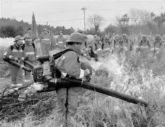 爱游戏-浙江队围绕意甲临场应变Rookie与40激战篮网分钟，连对手都承认：浙江稠州加时末段篮板制胜的简单介绍